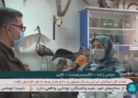 معرفی هنر سركار خانم ریحانه عباس زاده، هنرمند خطه قاینات در شبكه بین المللی خبر